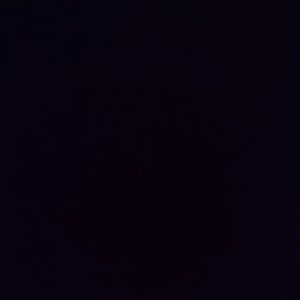 Meet your Posher, Zoey